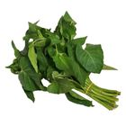 Global Fresh Products Inc Veg Kangkong - 127690 1kg
