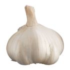 Global Fresh Garlic Imported (127715)