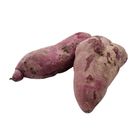 Gf Camote Fruits