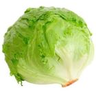 Gf Lettuce Iceberg