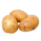 TLF Potato Regular (198517)