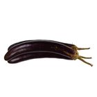TLF Eggplant Native (198842)