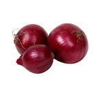 Global Fresh Onion Red