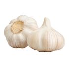 Global Fresh Garlic Taiwan Lose