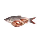Meena Ruhi Fish Big