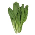 Fresh Produce Mustard Native 250g