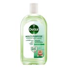 Dettol Plant Based Multipurpose Disinfectant Liquid Tea & Fresh Citrus 1L