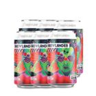 WTBDLSG001000 Brewlander IPA 6 x 330ml