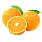 Egypt Valencia Orange (Packet) 6 Pieces - 529847