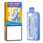 Lost Mary MT35000 Disposable Vape Blueberry Ice (50mg) 1 Unit