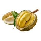 Durian Musang King (Tangkak) 500g