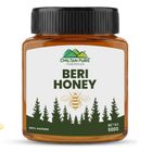 Chiltan Pure Beri Honey 500g