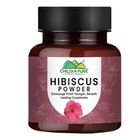 Chiltan Pure Hibiscus Powder 105g