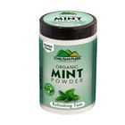 Chiltan Pure Mint Powder 100g
