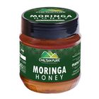 Chiltan Pure Moringa Honey 450g