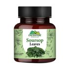 Chiltan Pure Soursop Leaves 100g