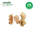 Organic Old Ginger 300g