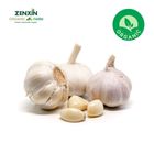 Zenxin Organic Morado Garlic 150g