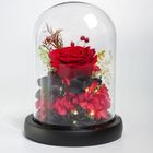 Win Your Heart (Rose Flower Dome) 1 Unit