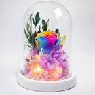 Beautiful Rainbow (Rose Flower Dome) 1 Unit