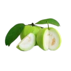 Guava peyara Thai-local 150g
