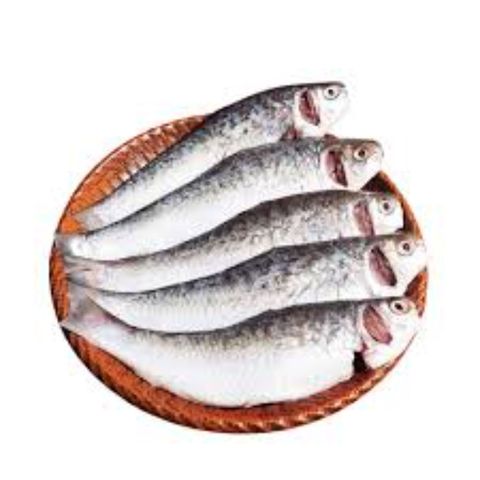 Daily Meat Tatkini Cut & Clean 500g ±25g