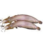 Daily Meat Shing Cut & Clean 500g ±25g