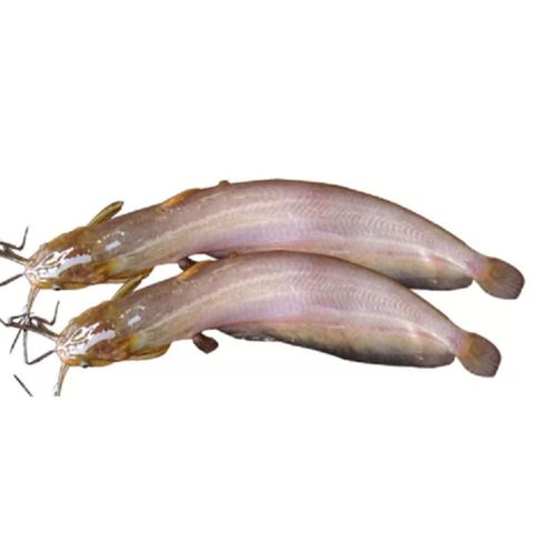 Daily Meat Shing Cut & Clean 500g ±25g