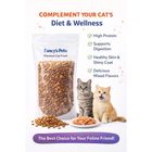 Fancys Premium Loose Mixed Cat Food Mix Flavour All Age 2Kg