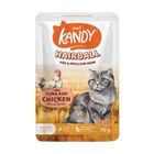 Kandy Cat Wet Food Pouch Tuna And Chicken 70g
