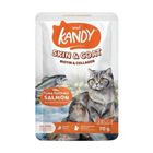 Kandy Cat Wet Food Pouch Tuna Topping Salmon 70g