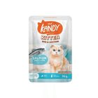 Kandy Cat Kitten Wet Food Pouch Salmon & Tuna 70g