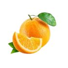 Agora Malta Yellow Small