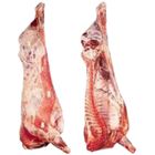 Agora Beef Whole Carcass Pre