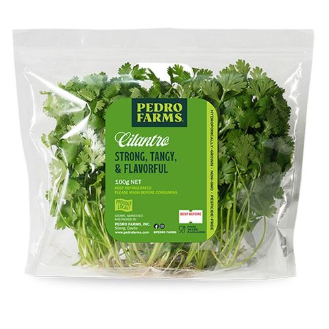Pedro Farms Cilantro 100g