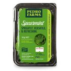 Pedro Farms Spearmint 30g