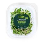 Pedro Farms Microgreens - Broccoli 40g
