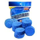 Toilet Cleaning Tablets Pack 10 Pieces
