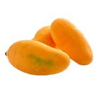 Sindhri Mango