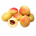 Apricot