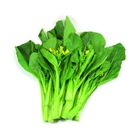 Dizon Farms Choy Sum 250g