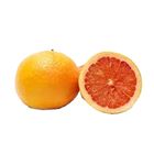 Dizon Farms Grapefruit 1 Piece