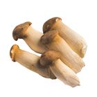 Dizon Farms Seafood Mushroom 250g
