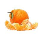 Dizon Farms Ugly Poncan 1 Piece