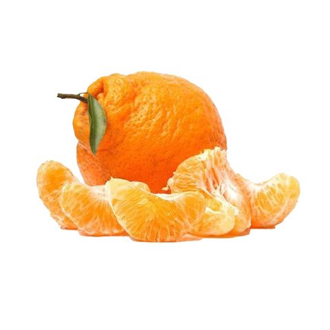 Dizon Farms Ugly Poncan 1 Piece