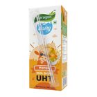 Paragon Dairy Mango Milk Drink Uht 200ml