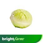 brightfarms Cabbage Green Bund Gobi Pakistan (2 Pieces) 1000g - 1200g