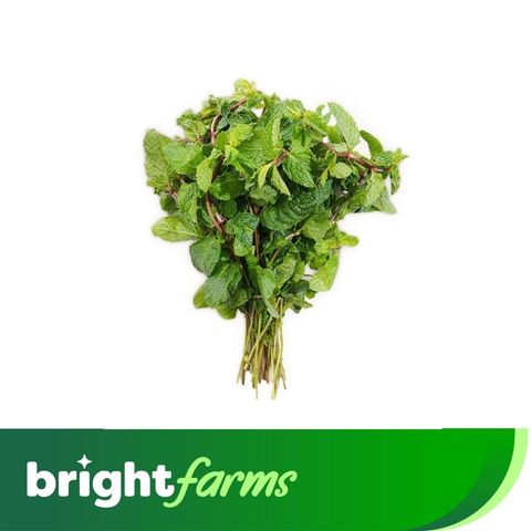 brightfarms Mint Leaves Podina Pakistan 100g
