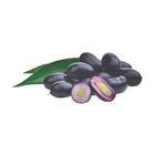 brightfarms Fresh Java Plum Jamun 250g
