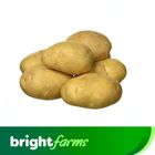 brightfarms Fresh Potato Aalu Medium Bag 2kg